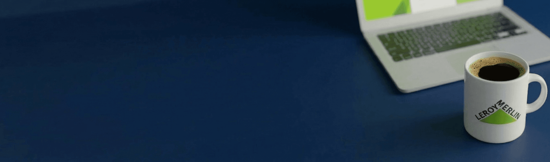 Lerowy Merlin banner