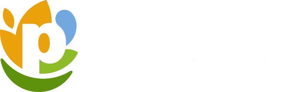 Logotyp PepsiCo na przezroczystym tle, grafika do case study projektu IT